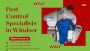 Pest Control Windsor – Fast, Safe & Affordable Pest Control Windsor – Fast, Safe & Affordable