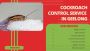 Cockroach-Free Living – Affordable Pest Control Geelong