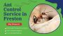Stop Ants in Their Tracks with Pest Control Preston