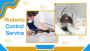 Rodents Control Torquay – Fast, Safe & Guaranteed Removal