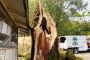 Emergency Tree Removal in Sonoma County Ca