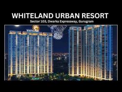  Whiteland 103 - Residential Property in Sector 103 Gurgaon
