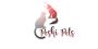 Peshi-pets is an Online Pet Store Dubai (UAE)