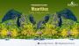 Paradise Found - Your Dream Mauritius Holiday Packages