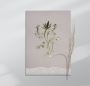 ELEGANT WEDDING INVITATIONS ELEGANT WEDDING INVITATIONS