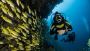 From Beginners to Experts: Top Diving Courses by Scubanautic