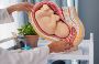 Innovative Musculoskeletal Care