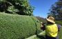 Get the Best Gardening Services from Semms Property Services