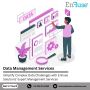 Choose Expert Data Management Services from EnFuse Solutions