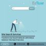 Transform User Search Behavior with Site Search Services