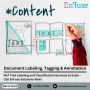 Find NLP Text Labeling and Classification Services at EnFuse