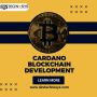 Cardano Blockchain Development Company | Dev Technosys