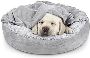 🐶🎾 Paws, Play & Nap All Day! 🐾🛏️ 🐶🎾 Paws, Play & Nap All Day! 🐾🛏️