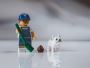  Top Benefits of Hiring a Professional Dog Poop Service