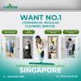 Professional Cleaning Service 