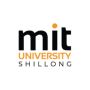 Best MBA Colleges in Shillong | MIT University