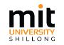 MBA in Financial Management Colleges | MIT Shillong