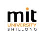 Best B.Des Design Colleges in Shillong | MIT University