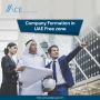 UAE Free Zone Company Formation 
