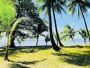 Land for Sale in General Luna Siargao – Your Dream Property Land for Sale in General Luna Siargao – Your Dream Property