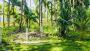Land for Sale in Siargao – Secure Your Dream Property Today!