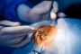 Consult the Best ENT Doctor in Jaipur for Advanced Treatment