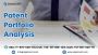 Patent Portfolio Analysis Services - Signicent LLP