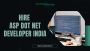 Outsource .Net Web Programmer,Hire C# .Net Developer
