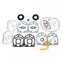 Complete Gasket Kit HS-711255