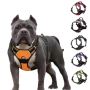 Adjustable Dog Harness Vest Adjustable Dog Harness Vest