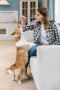 Tailoring Dog Treats According to Your Dog's Size 