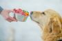  Nutrients Included in Fresh Food for Dogs