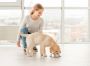 Is Fresh Dog Food Safe for All Dog Breeds and Ages
