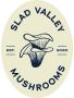  Slad Valley Mushrooms