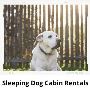 Dog Friendly Cabins On Rent North Carolina