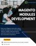 Magento Modules Development | Custom Extensions by TheCoachS