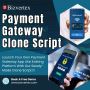 Set Up Your Own Payment Gateway with a Proven Clone Script