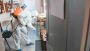 Fast & Reliable Termite Treatment in Indianapolis