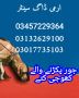 Army dog center 03017735103 Army dog center 03017735103