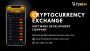 Cryptocurrency exchange development services
