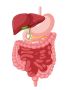 Pediatric Gastrointestinal Procedures in India
