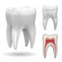 Aesthetic & Cosmetic Dentistry Care in India 