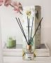Jasmine Scented Reed Diffuser Online By Soul & Scents