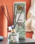 Shop Aromatic Lemongrass Scented Flavor Reed Diffuser Online