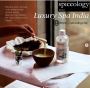 Luxury Spa in India