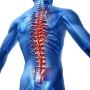 Unlock Digestive Wellness: Addressing Spinal Diseases with E