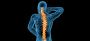 Expert Care for Spinal Health and Digestive Wellness: Relief