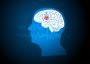 Neurology Doctor: When to See One and How They Help