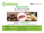 Termite Control in Hyderabad Termite Control in Hyderabad