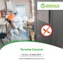 Termite Pest Control in Hyderabad
